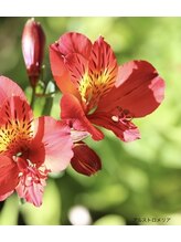 リバイブ テレビ塔前店&nbsp;サイ 