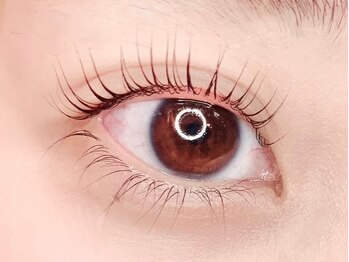 ラヴィシル 恵比寿(Ravicils)/パリジェンヌ/まつげパーマ上下