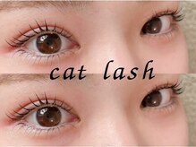 キャット ラッシュ(cat lash)