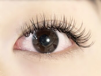 プレモ(Premo)/バインドロック80束