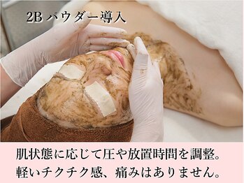 サロン ド ハルカ(Haruka)/2Bパウダー導入