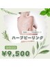 【肌荒れ/ニキビケア】 背中ハーブピーリング  9,500円
