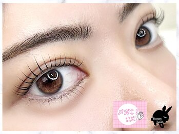 バニーラッシュ(Bunny Lash)/【まつげパーマ】