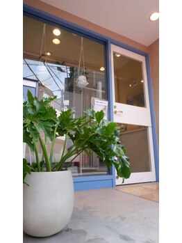 あおい鳥/入口前には代わりばんこに植物が