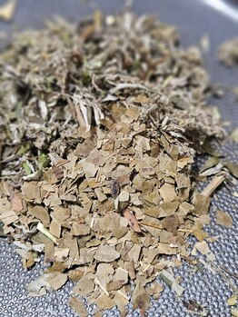 ミホズルーム(Miho‘s room)/桃の葉蒸し