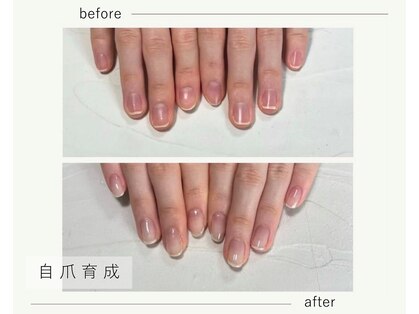 ライム(Lime)の写真