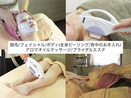 ファルーカの写真