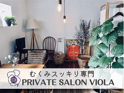 ビオラ(Viola)の写真