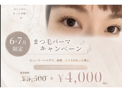 ミント(mint)の写真