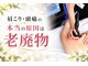 櫻陽(Ouyou)の写真