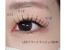 プリモア(primo A)/LEDフラットラッシュ180本