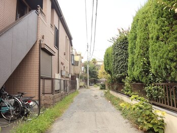 ひつじのきもち 立川店/直進してください★