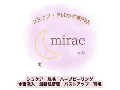 ミレ(mirae)の写真