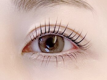 ボーテプラス(beaute+)/まつ毛パーマ