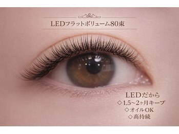 チック(chick)/LEDフラットボリューム80束