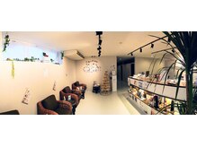 ラティ/店内受付周り