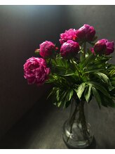 ブラックボックス(BLACK BOX)/BLACK BOXのお花