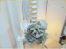 アムール(Amour)/骨格の説明をさせていただきます