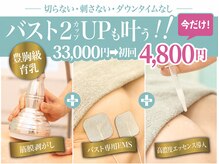 美人バスト 町田店