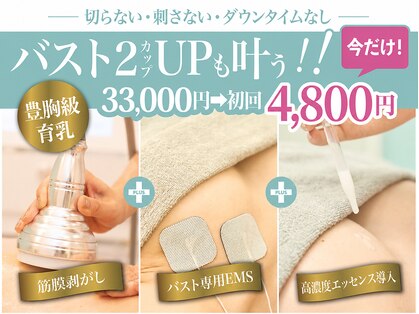 美人バスト 町田店の写真