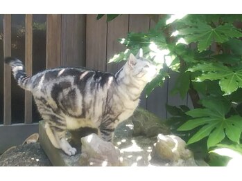 リカ/サロン玄関前