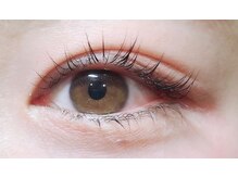 アポロランド ルーナ/ラッシュリフト