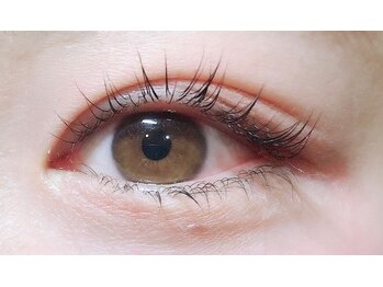 アポロランド ルーナ/ラッシュリフト