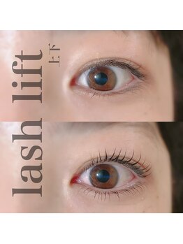 カミーノ(CAMINO)/