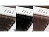 【持続力抜群】フラットラッシュ◆100本¥6,600→¥5,940（オフ無料）