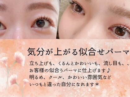 キャット ラッシュ(cat lash)の写真
