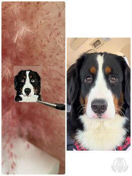 ジェルネイルステラ(gel nail Stella)/ペットネイル　手書き