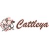 カトレア(Cattleya)のお店ロゴ