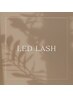 6月2周年キャンペーン♪【LED付け放題】 11500円→11000円