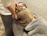 ☆リピーター感謝割☆　¥500引き♪ 他クーポンと併用可