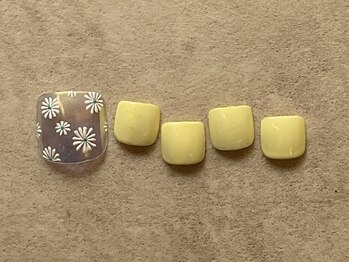 アイビー(Aivy)/オーロラ×フラワー