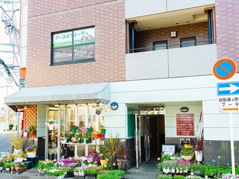 南林間駅前スタジオ メローヨガ(Mellow-Yoga)/南林間駅（東口）徒歩すぐ