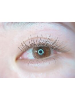 初めての方にオススメ