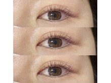 ジョリ(Joli.)/ボルドー×ラベンダー