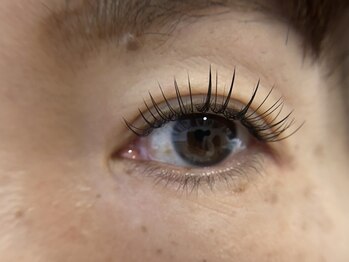 ハル 豊中本店(HAL)/フラットラッシュ120本