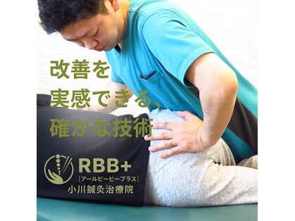 アールビービープラス(RBB+)の写真