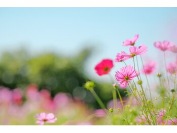 リモデ(Re MODE)/秋は肺にご用心！