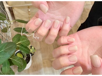 クレー(Klee)/美ワンカラー