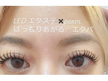 モアアンドモア(More&More)/エクパ120本