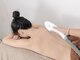 リアココ(Ria.COCO)の写真/お顔～足先までスベスベ美肌◎技術・効果に自信あり！初めての方にもオススメ★はじめて触れる[素肌]を♪