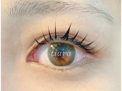 ティアラ(tiara)の写真