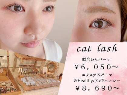 キャット ラッシュ(cat lash)の写真