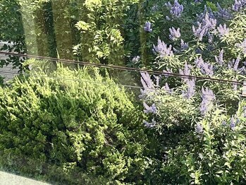 ハイナ 恵比寿店(Hi-Na)/恵比寿/フェイシャル/ブライダル