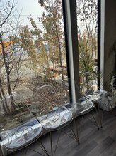 アズリー ルナ(AzRee Luna)/