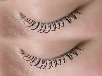 メイル(meil)/ラッシュリフト/まつ毛パーマ