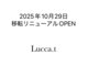 Lucca.t【ルッカ】の写真